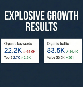 SEO Emblus Case Study 2